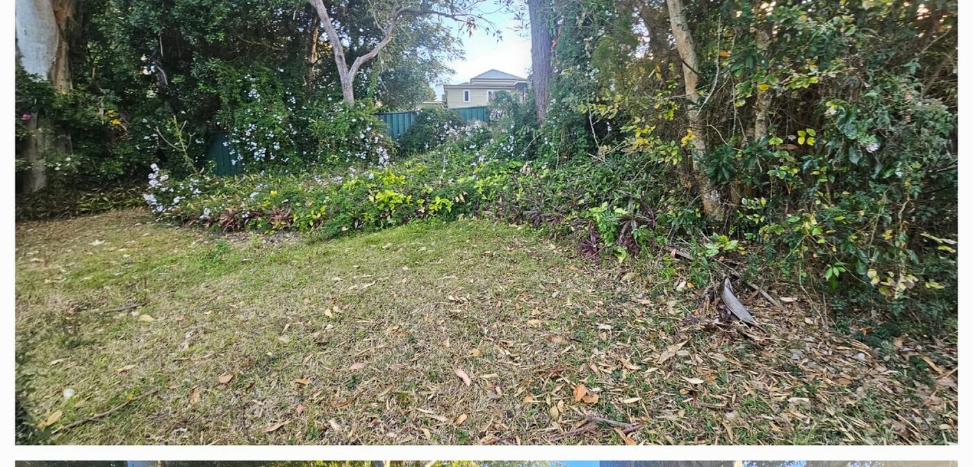 A tidy finished garden in the Northern Rivers