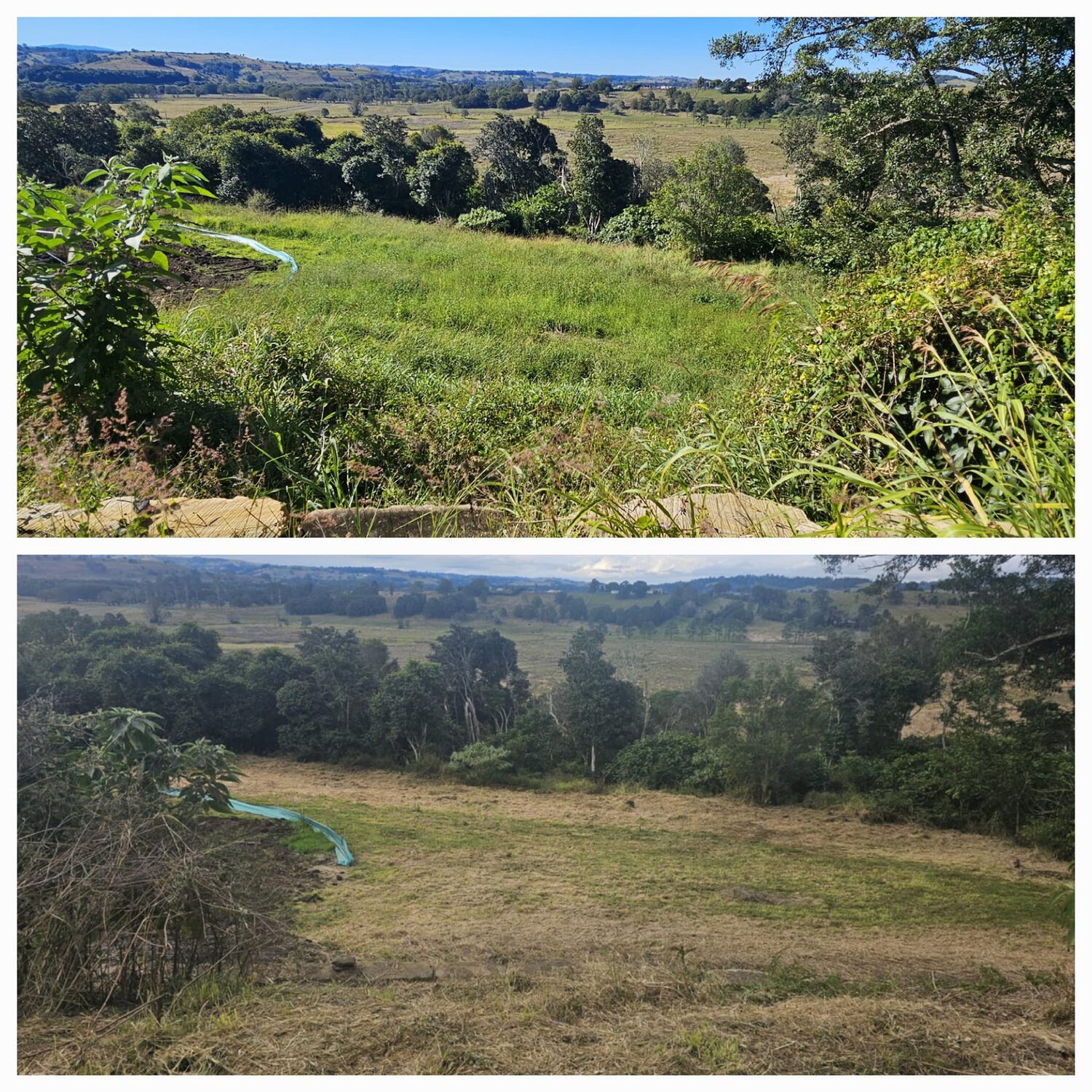 Overgrown acreage paddock slashed back to clear ground