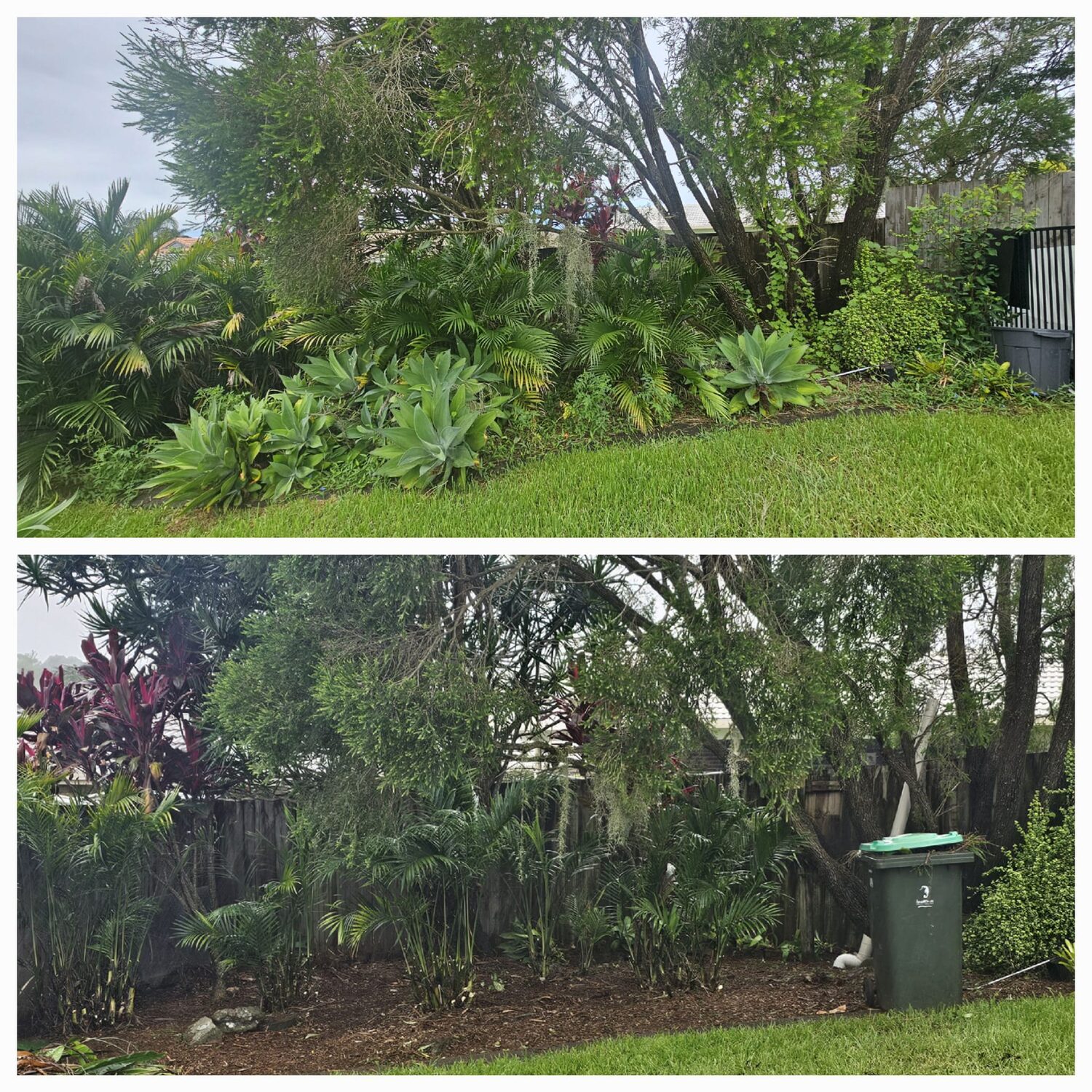 Tropical garden bed cleaned out and mulched