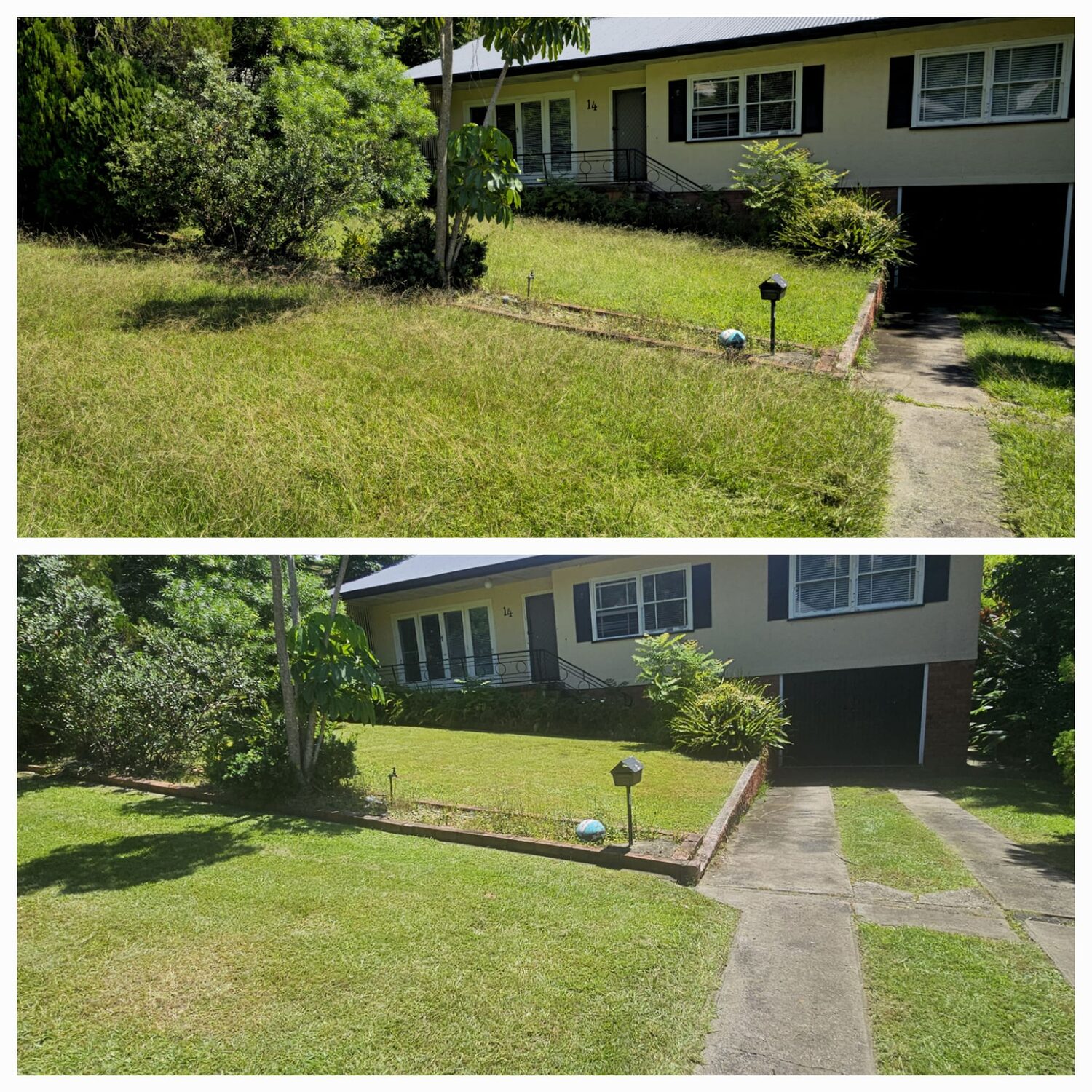 Front lawn mowed and edged at a Northern Rivers home