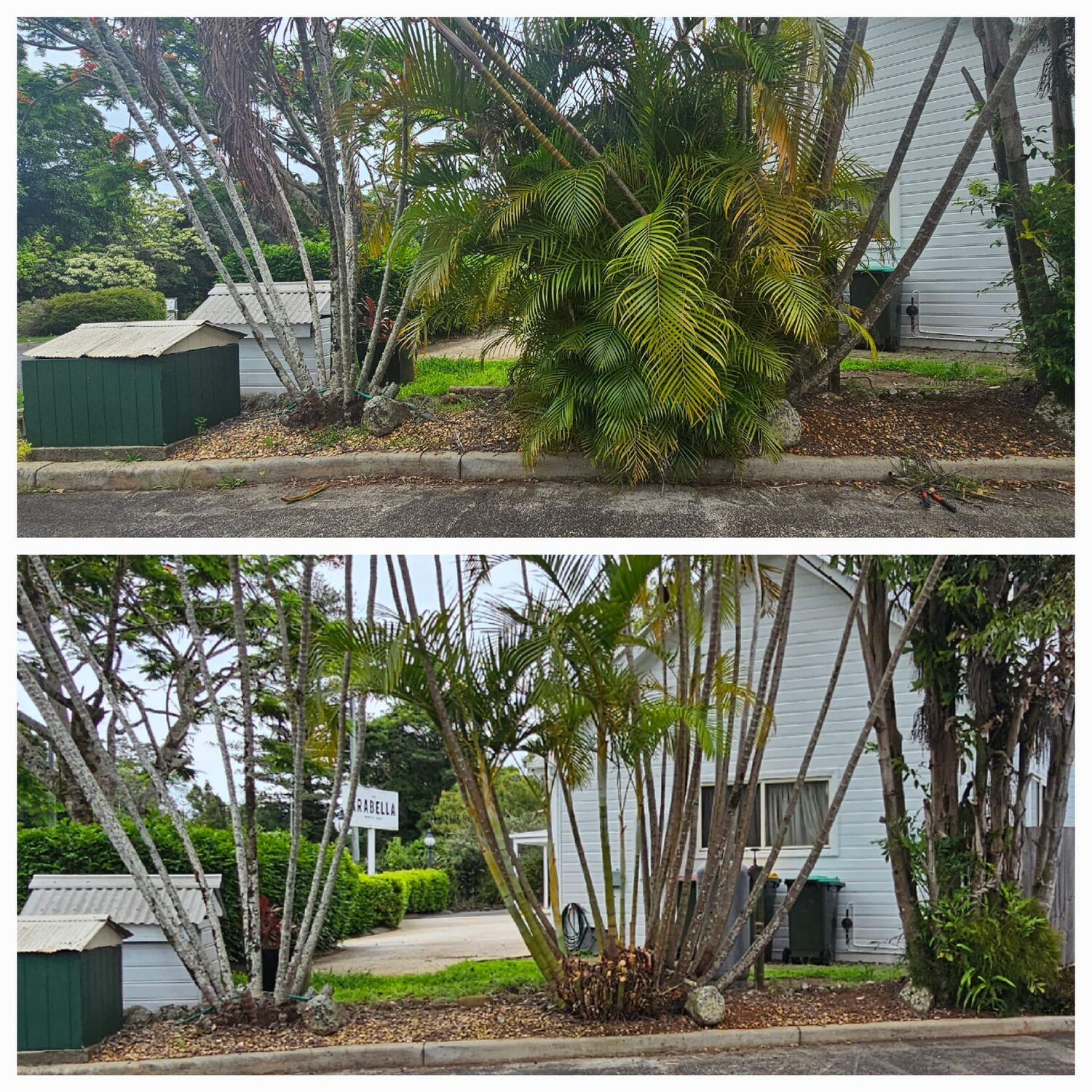 Shrubs against brickwork pruned back off the wall